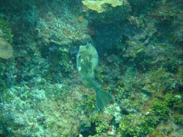 dscf3143.jpg