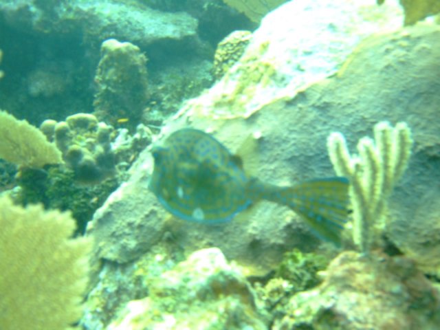 dscf3145.jpg
