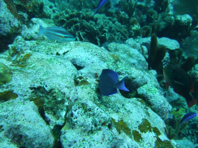 dscf3170.jpg