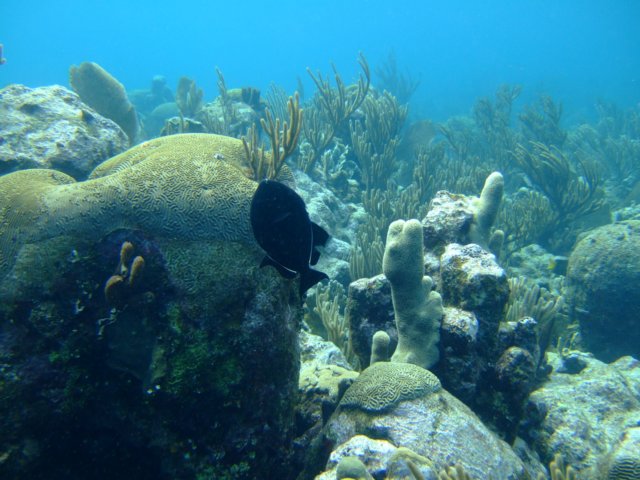 dscf3173.jpg