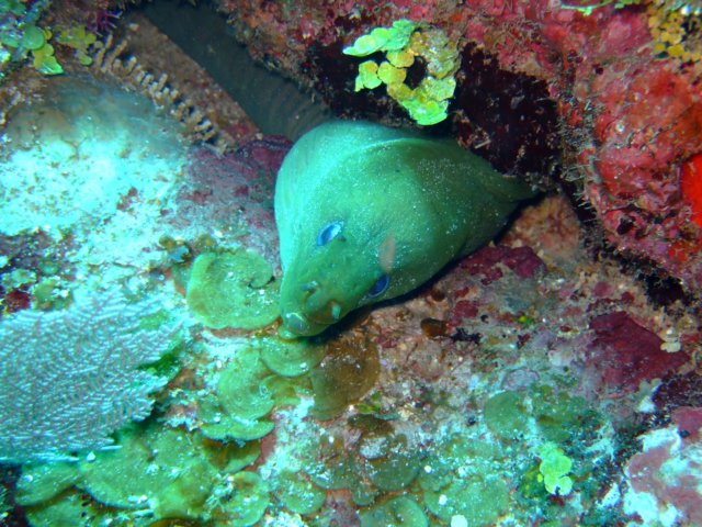 dscf3181.jpg