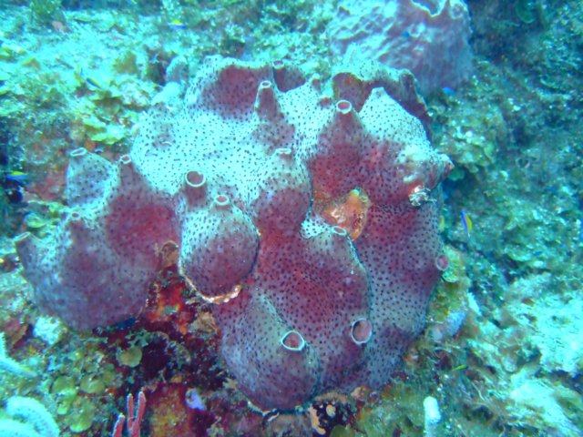 dscf3184.jpg