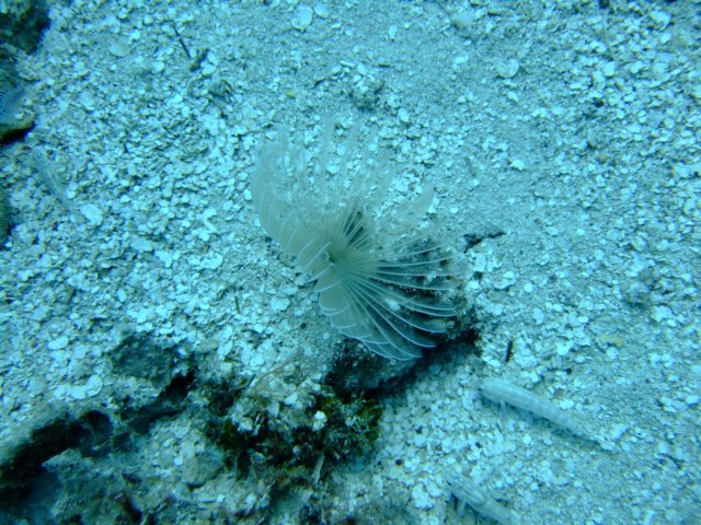dscf3215.jpg