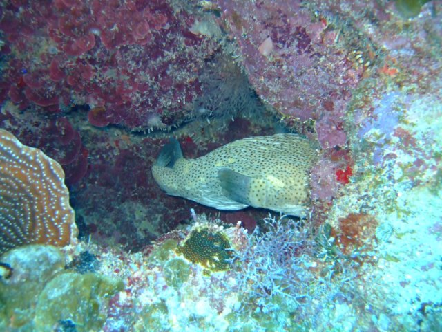 dscf3216.jpg