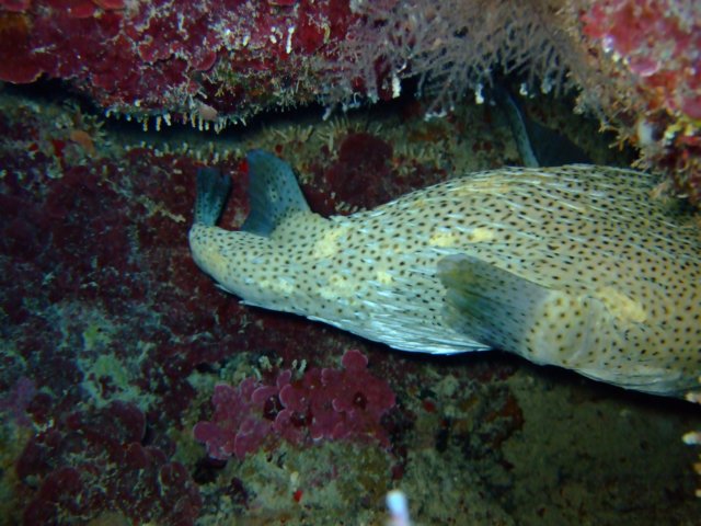 dscf3217.jpg
