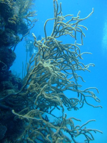 dscf3223.jpg