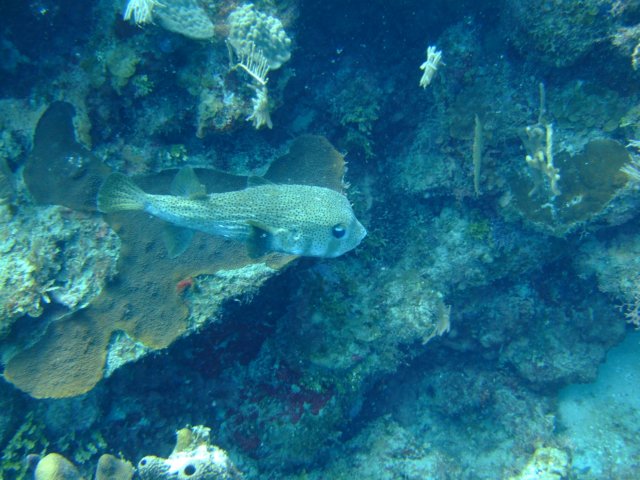 dscf3224.jpg