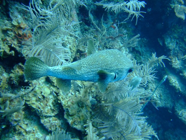 dscf3225.jpg