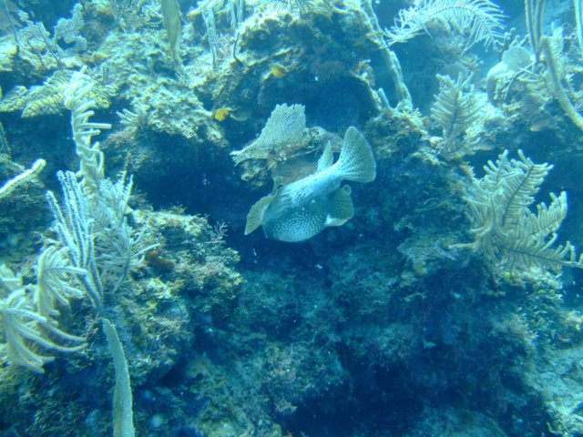 dscf3227.jpg