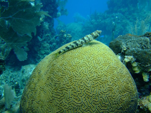 dscf3228.jpg