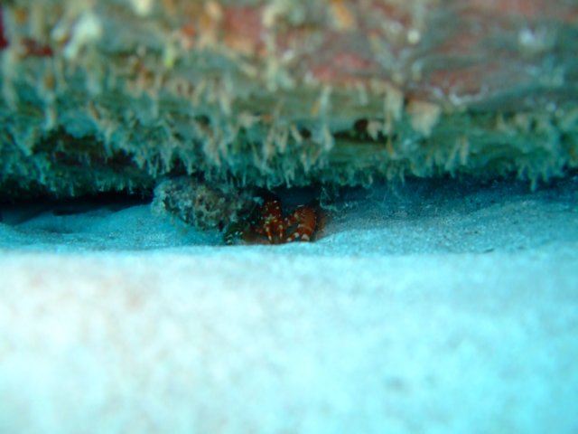 dscf3253.jpg