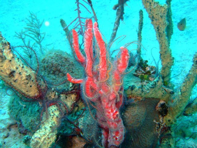 dscf3254.jpg