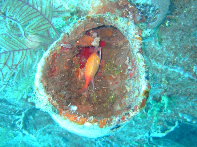 dscf3256.jpg