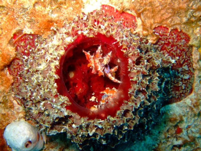 dscf3258.jpg