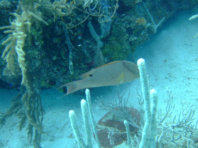 dscf3261.jpg