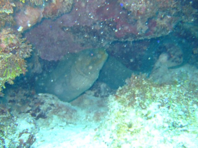 dscf3269.jpg