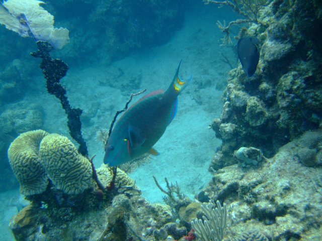 dscf3273.jpg