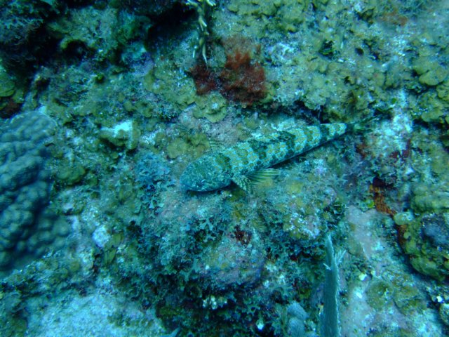 dscf3280.jpg