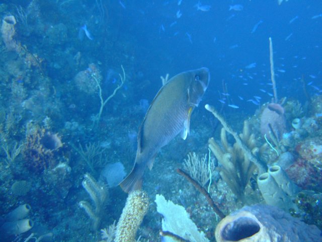 dscf3281.jpg