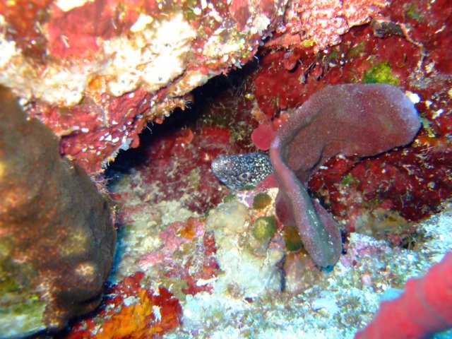dscf3285.jpg