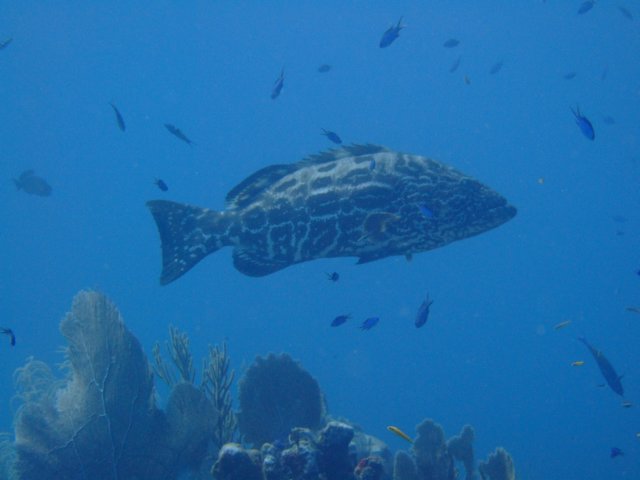 dscf3295.jpg