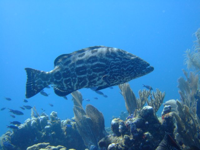 dscf3299.jpg