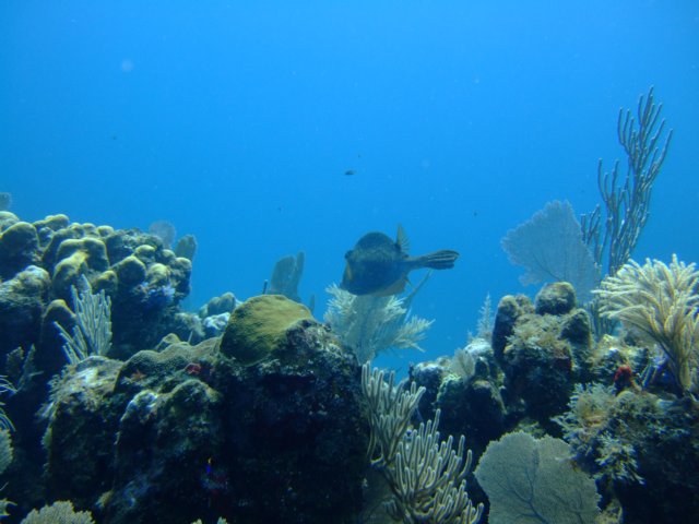 dscf3301.jpg