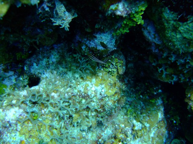 dscf3303.jpg