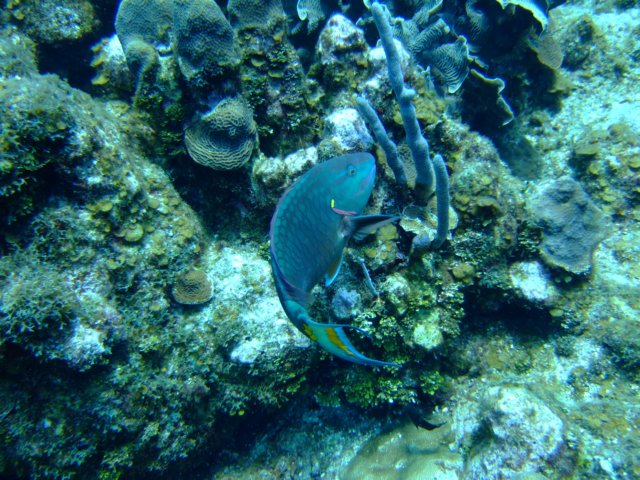 dscf3304.jpg
