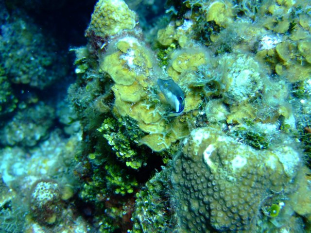 dscf3307.jpg