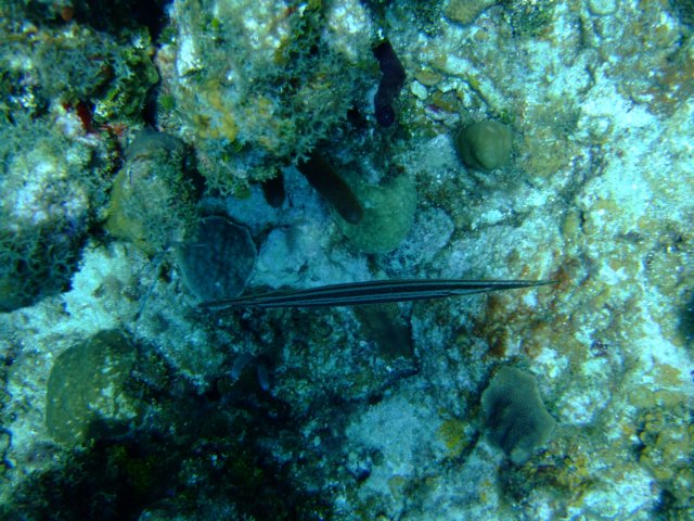 dscf3308.jpg