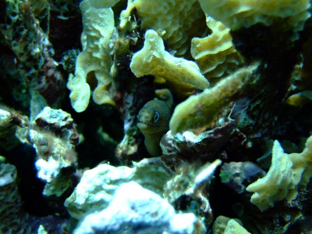 dscf3314.jpg