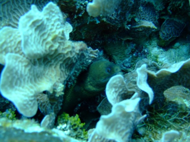 dscf3315.jpg