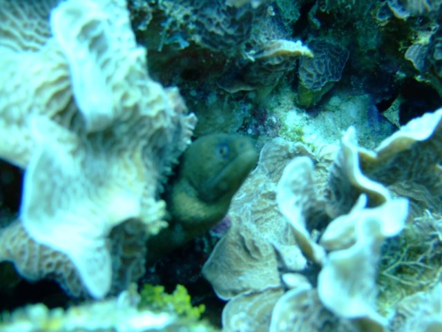 dscf3316.jpg