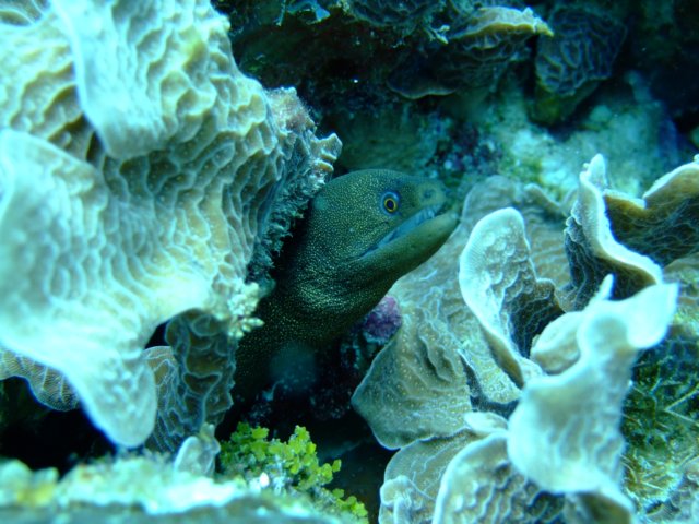 dscf3317.jpg