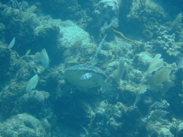 dscf3325.jpg