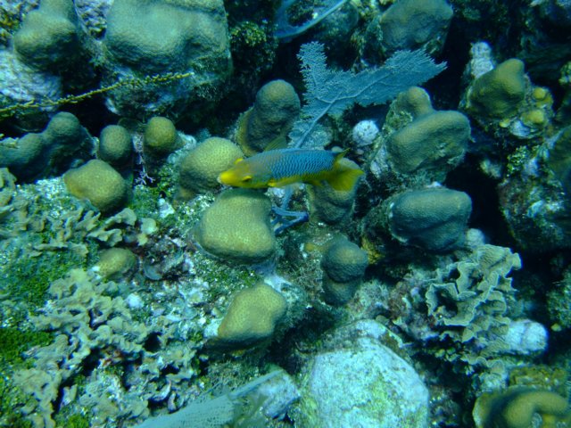 dscf3326.jpg