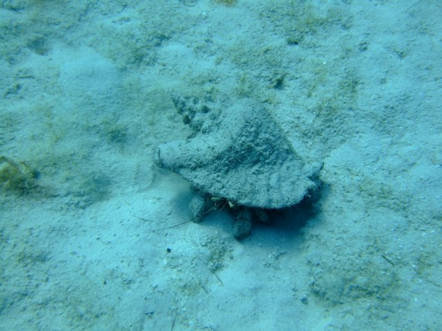 dscf3334.jpg