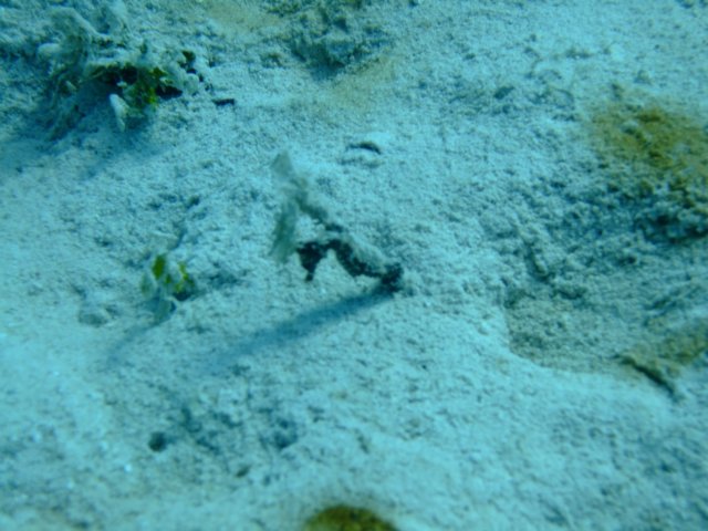 dscf3335.jpg