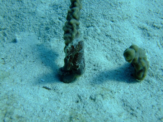 dscf3341.jpg