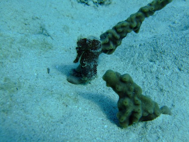 dscf3343.jpg