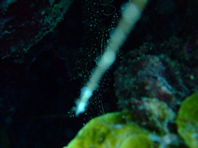 dscf3351.jpg