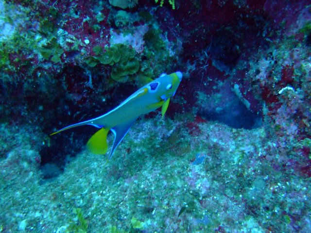 dscf3355.jpg