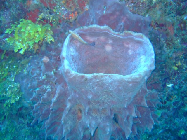 dscf3359.jpg
