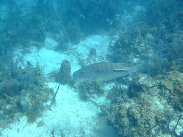 dscf3371.jpg