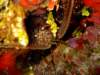 dscf3434_small.jpg
