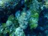 dscf3435_small.jpg