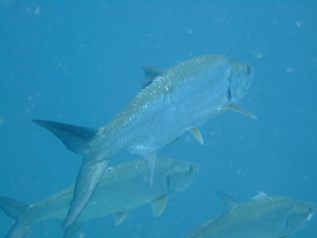 dscf3529.jpg