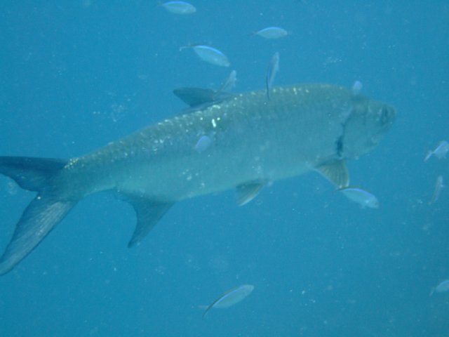 dscf3530.jpg
