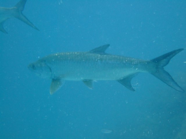 dscf3532.jpg